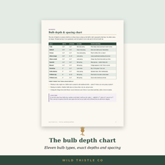 Bulb planting depth and spacing chart